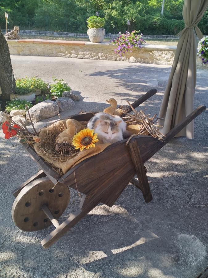 "Il Miglio" Country House Pettorano sul Gizio Exteriör bild