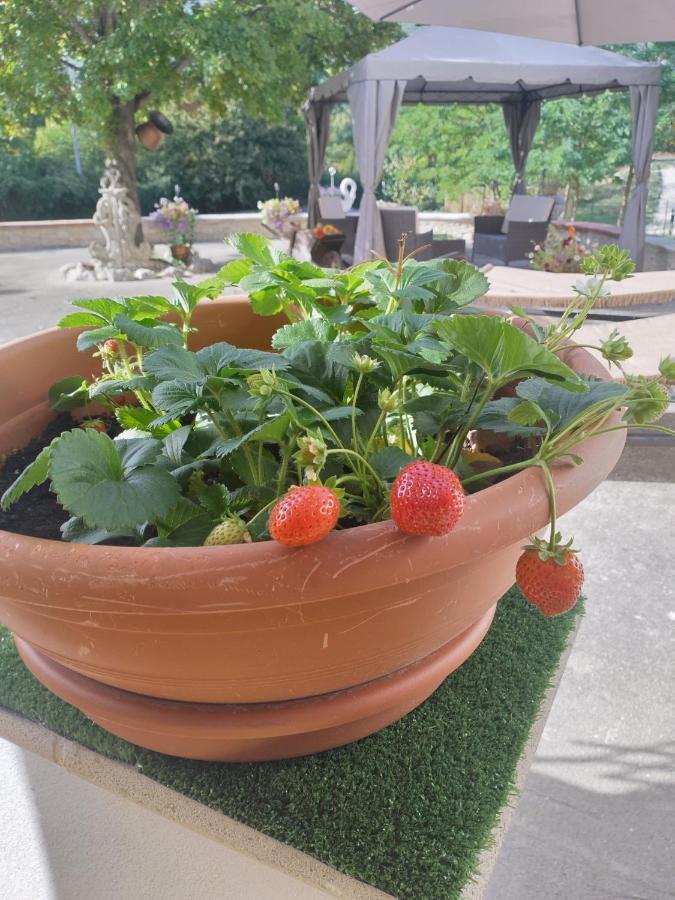 "Il Miglio" Country House Pettorano sul Gizio Exteriör bild